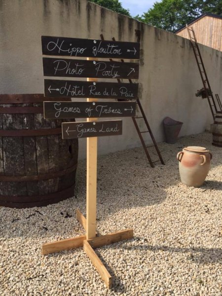 Château Baillant_86380 VENDEUVRE-DU-POITOU_13